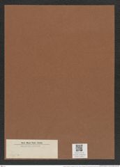 Triceratium schmidtii var. pustulatum (de-Toni-Nr.: Genus 139, Species 3705*) Zeichnungen Sammlung Grunow Mappe 03813 (Herbarium_W_Grunow_drawings_Folder_03813)
